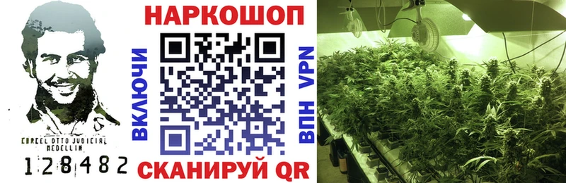 Сколько стоит Камышлов Cocaine  Конопля  Меф мяу мяу  ГАШИШ 