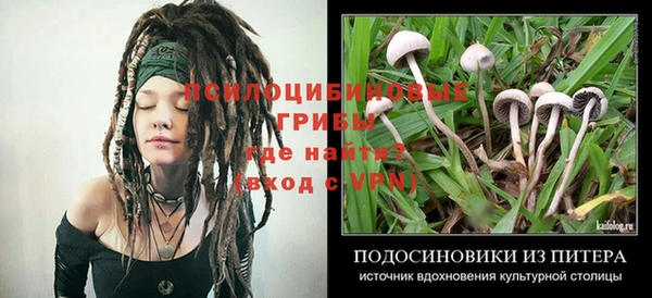 МДМА Верхний Тагил